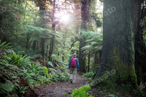 Preview: Tramping