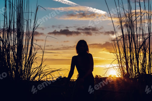 Preview: Silhouette of a young woman posing in nature at sunset.