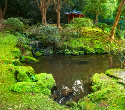 Preview: Pond and waterfall in my garden