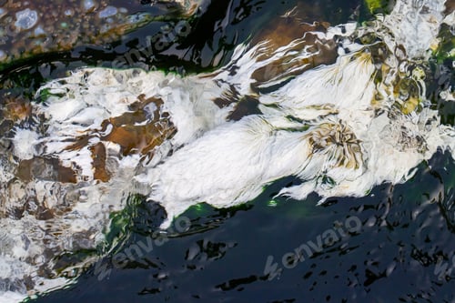 Preview: chloroflexus aurantiacus, photosynthetic bacterium isolated from hot springs