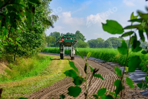 Preview: Agricultural vehicle in green field on a sunny day.