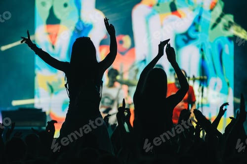 Preview: Two woman in the crowd at a music festival