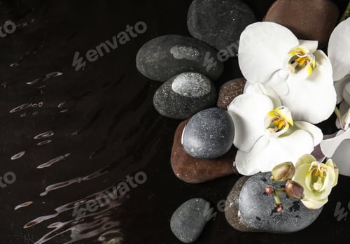 Preview: Stones and orchid flowers in water on black background, flat lay with space for text. Zen lifestyle