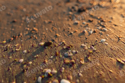 Preview: Beach and sea waves in the evening before sunset
