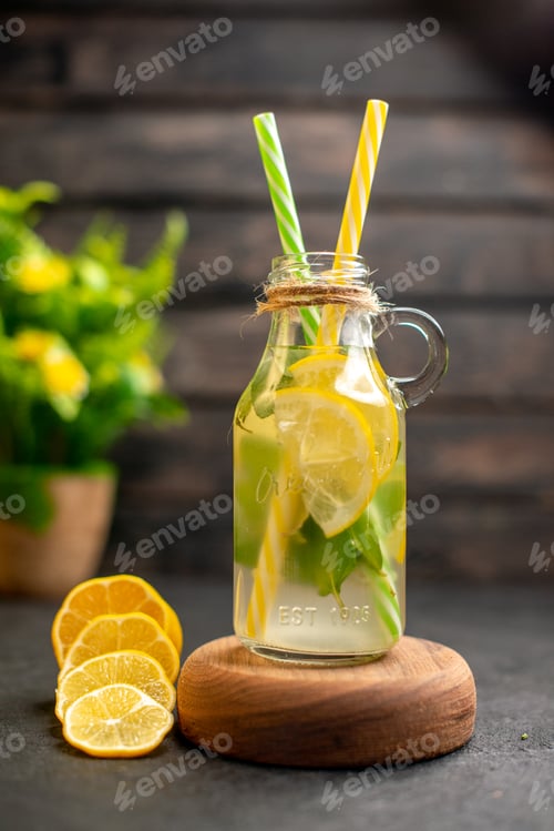 Preview: front view lemonade on wooden serving board lemon slices potted plant on brown background stock