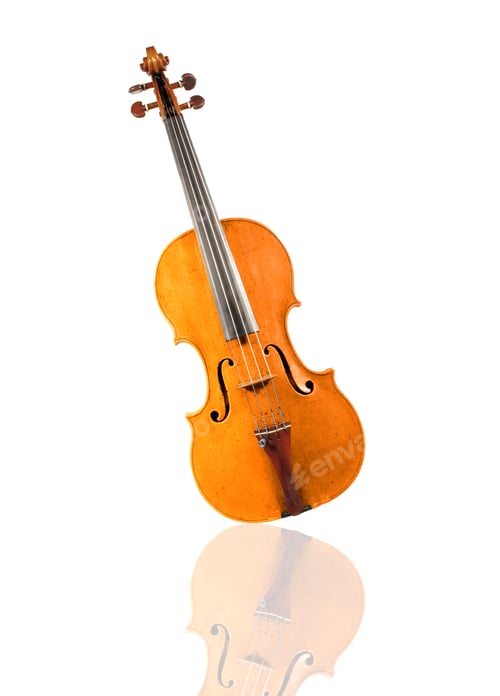 Preview: Violin isolated on white