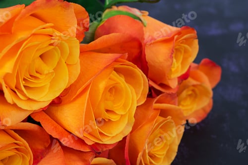 Preview: Bouquet of roses on a dark background