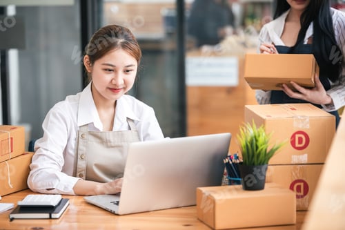 Preview: Small start-up business owners checking parcels at work, freelancers, salespeople, checking producti