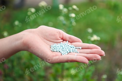 Preview: Woman with fertilizer near plant outdoors, closeup. Gardening time