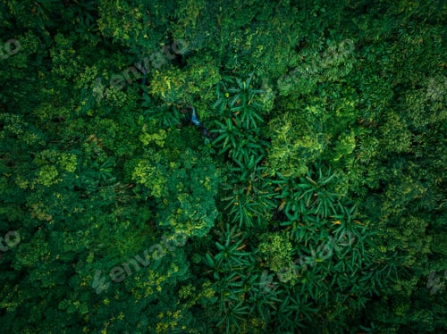 Preview: Aerial view of beautiful tropical forest mountain landscape