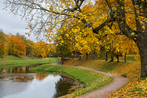 Preview: Beautiful autumn landscape. City park with a pond in autumn. Selective focus