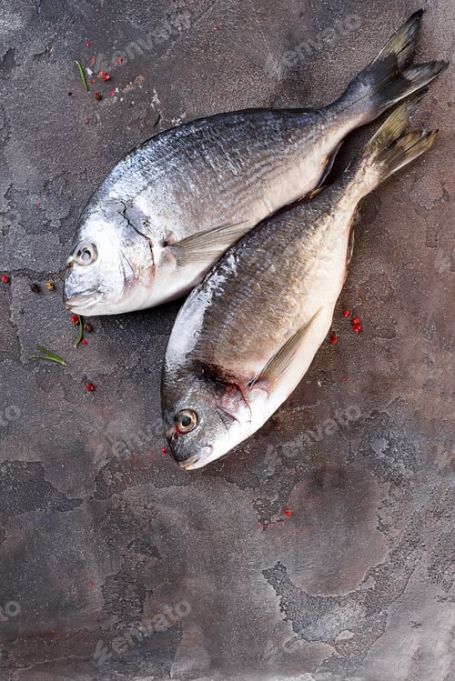 Preview: Raw fresh organic dorado or sea bream concrete background.