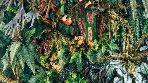 Preview: Group of background tropical green leaves texture. Natural green wallpaper and background.