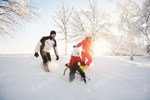 Preview: Dad and mom in winter take their son down from a white snowy mountain on a sled
