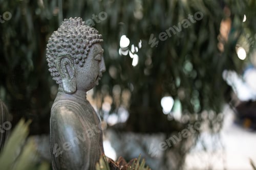 Preview: Still life concept. view of green houseplant standing on wooden floor near gautama buddha statue in