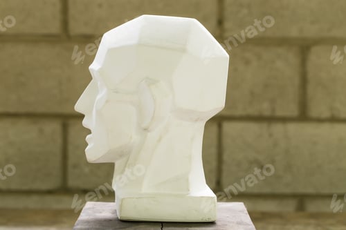 Preview: Tutorial primitive plaster head model.