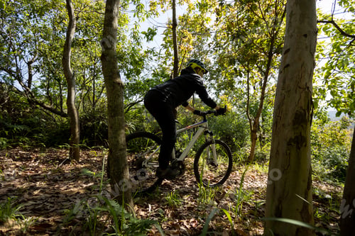 Preview: Mountain biking on spring forest trail