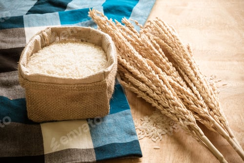 Preview: Raw rice grain and dry rice plant on wooden table background.