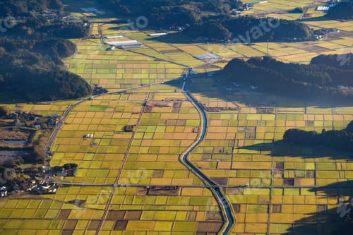 Preview: Paddy rice terraces, green agricultural fields in countryside of mountain hills valley, Vietnam.