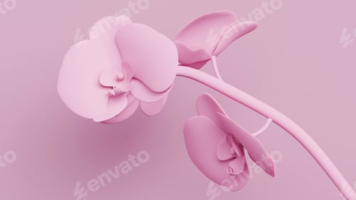 Preview: Pink matte orchids