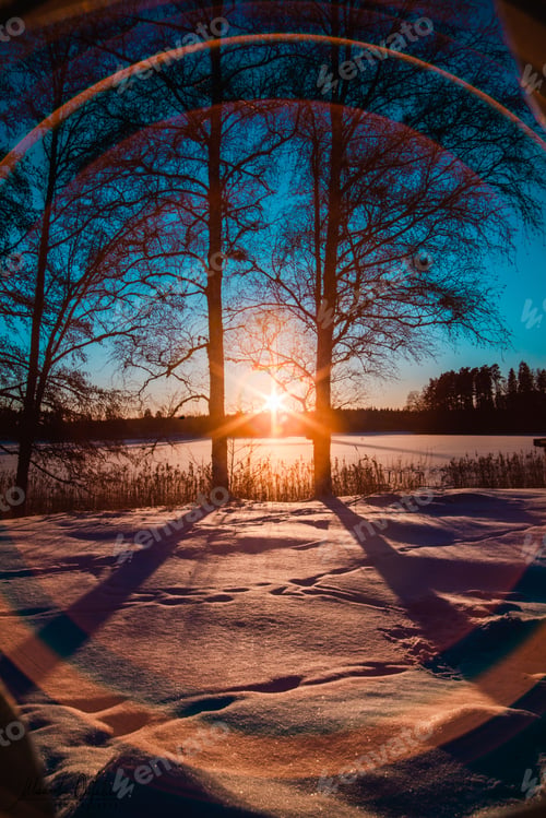 Preview: Beautiful winter forest with bared trees against a scenic sunset in Dalarna, Sweden