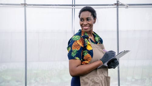 Preview: African woman work with clipboard gardening vegetable farm