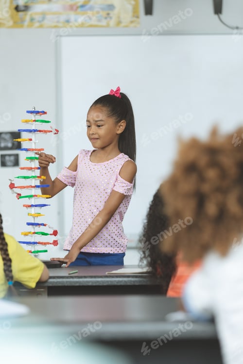 Preview: Front view of a mixed-race ethnicity schoolgirl analyzing DNA structure model in classroom at school