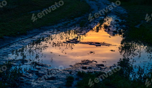 Preview: Scenic sunset reflected in a puddle