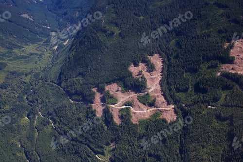 Preview: Logging Roads
