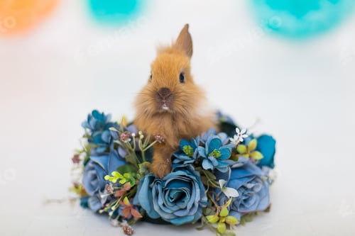 Preview: Happy easter bunny