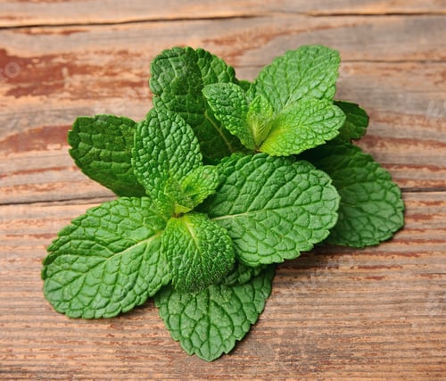 Preview: Fresh mint leaves