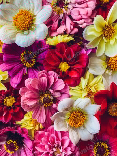 Preview: Colorful floral background.