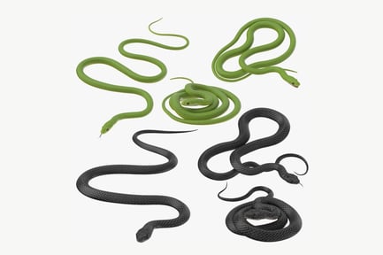Preview: Green and Black Snake Collection