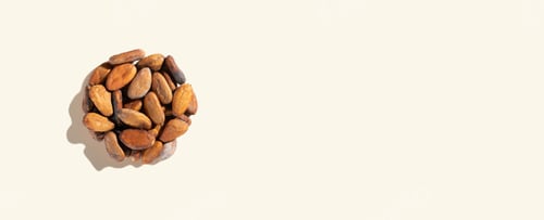 Preview: Creative composition with healthy ingredient organic cocoa beans products on a ivory background
