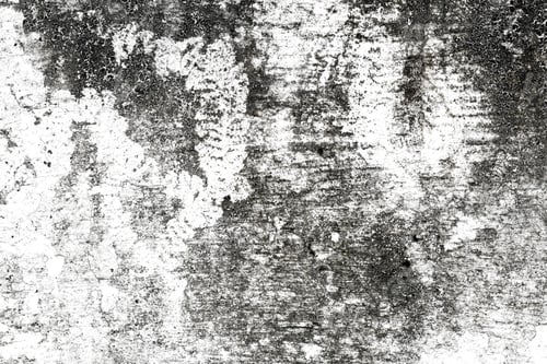 Preview: white concrete wall texture