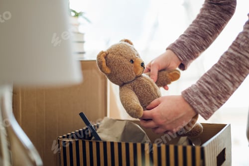 Preview: Close-up of woman unpacking cardboard box in new home taking out teddy bear