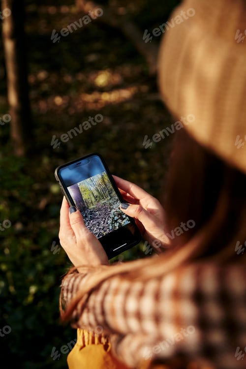 Preview: Woman standing in woodland looking at photograph of trees on smart phone