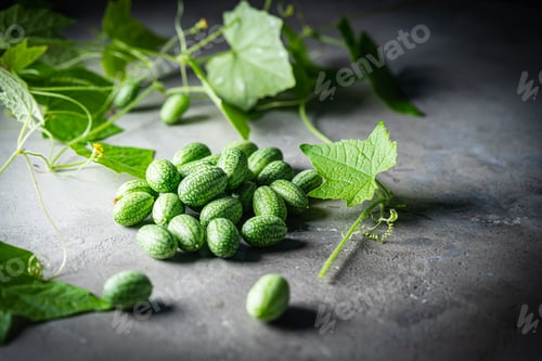 Preview: Cucamelon, Melothria scabra