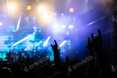 Preview: crowd having fun at concert summer music festival