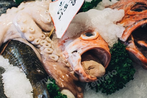 Preview: Fish head close up
