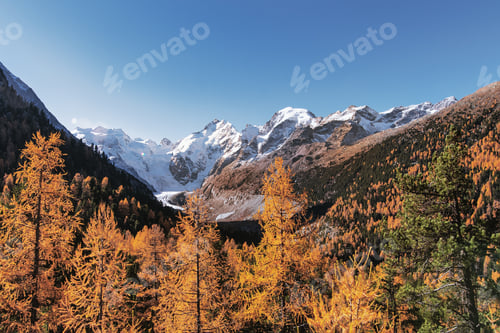 Preview: Morteratsch glacier