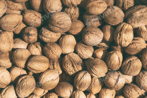 Preview: Lots of organic walnuts, filled frame. Healthy eating concept.