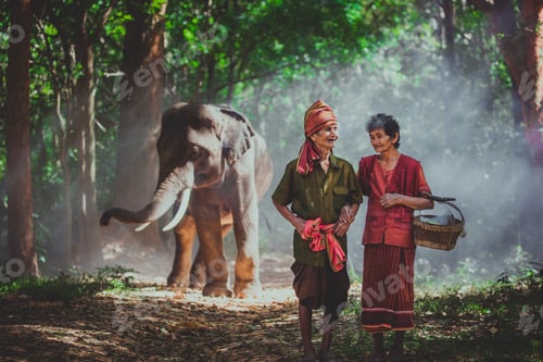 Preview: Elephant and senior couple in Thailand