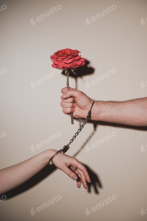 Preview: partial view of woman and man in metal handcuffs holding red rose flower on beige background