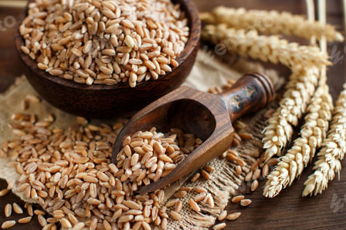 Preview: Uncooked whole spelt grain in a bowl with spelt ears