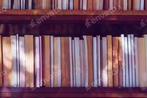 Preview: Shelves of Books in a Home Library Setting
