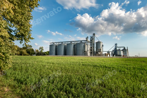 Preview: silver silos on agro manufacturing plant for processing drying cleaning and storage