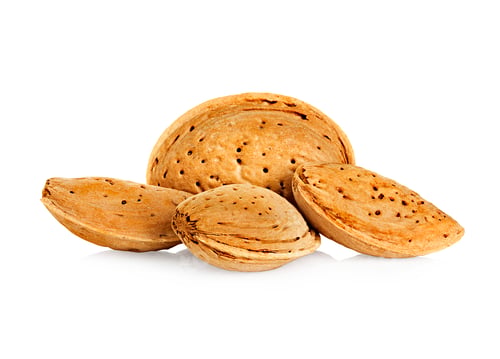 Preview: Almond nut in shell isolated on a white background.