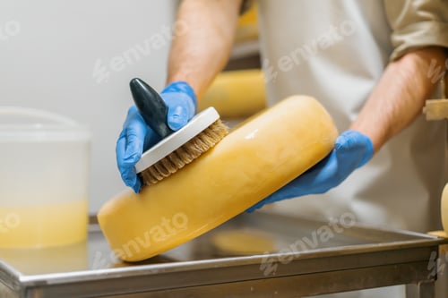 Preview: Male hands in gloves cleaning cheese by brush in warehouse of milky farm Dairy production