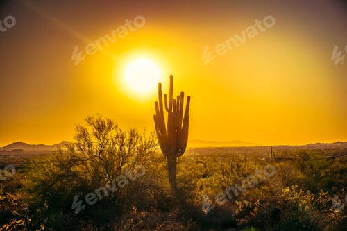 Vorschau: Blick auf die untergehende Sonne in der Wüste